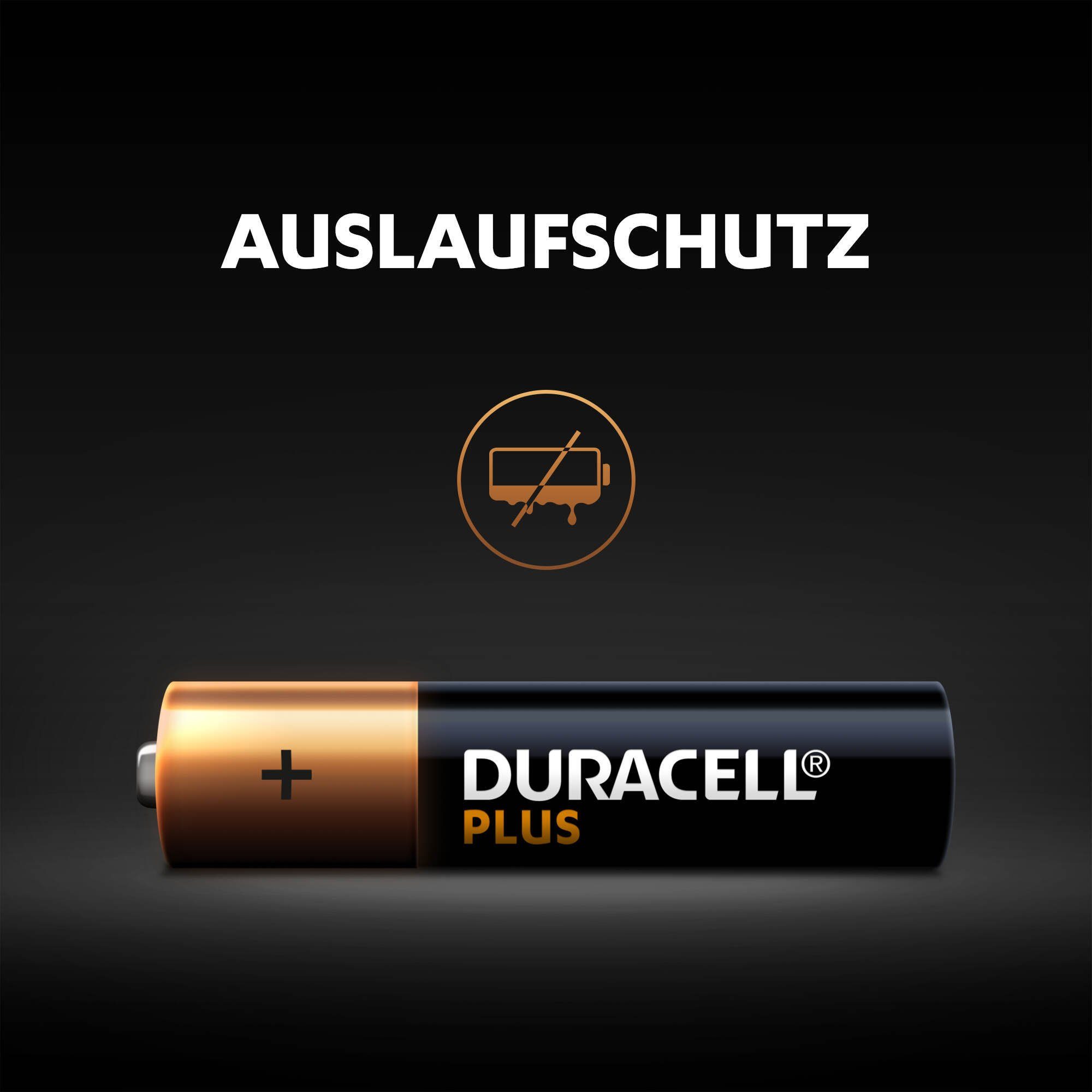 Plus V, Duracell 16er 16 St), AAA Pack Set (1,5 Batterie, LR03 Battrie