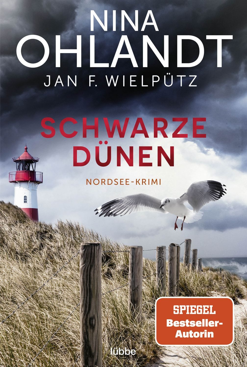 Schwarze Dünen / Nina Ohlandt, Jan F. Wielpütz
