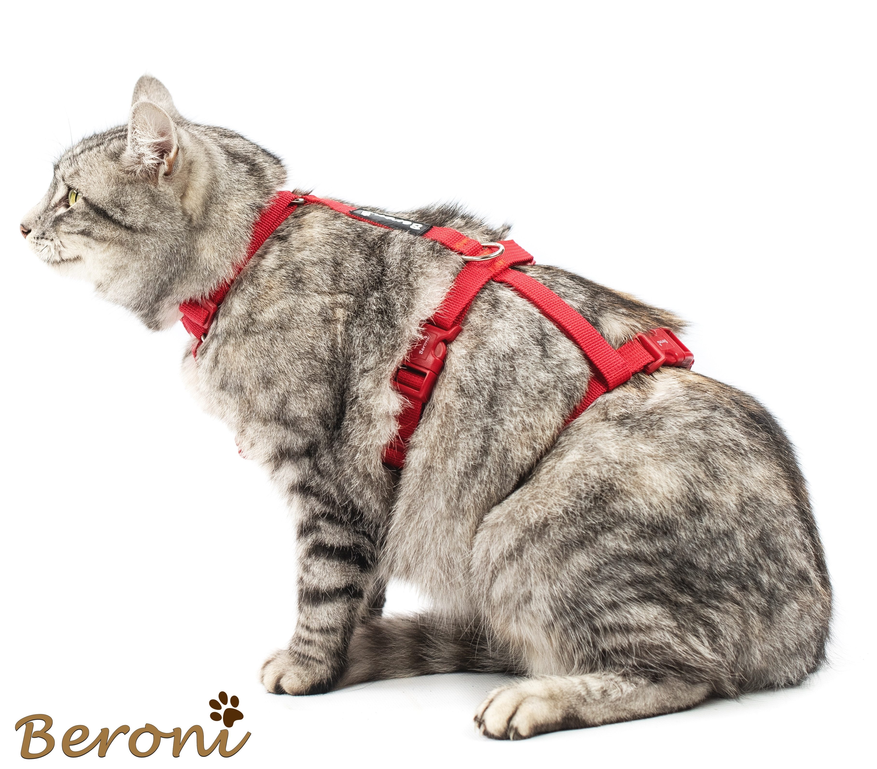 Beroni Sicherheitsgeschirr Katzengeschirr Safety Harness Classic ausbruchsicher verstellbar, Leine separat erhältlich, Katzen-Geschirr, für kleine und große Katzen