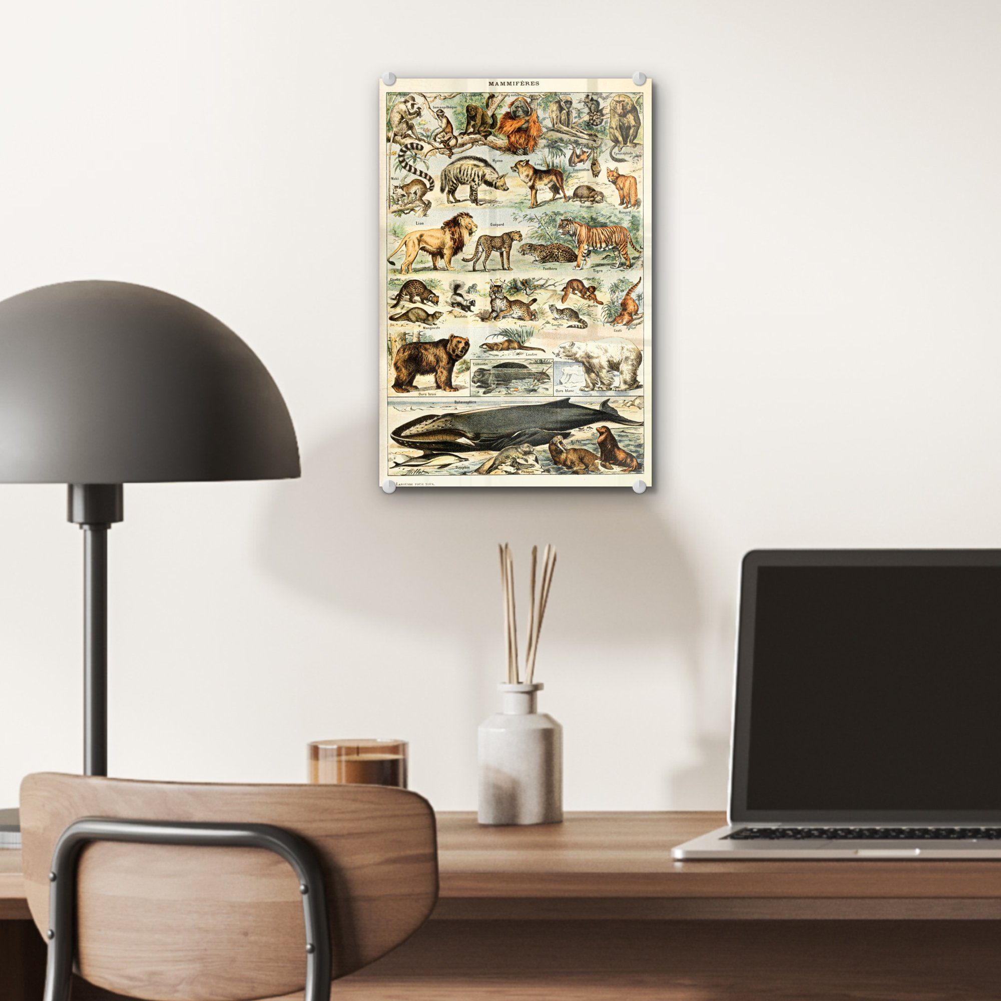 auf Millot Glas Glasbilder Löwe, St), Wanddekoration Tiere Foto bunt auf Acrylglasbild Bilder Wandbild Adolphe - (1 - Vintage - - - Glas - Tiger MuchoWow -
