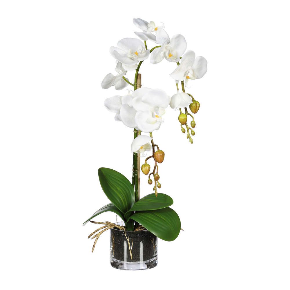 Kunstorchidee Kunstblume Phalaenopsis Orchidee im runden Glas. 2 Triebe. ca günstig online kaufen