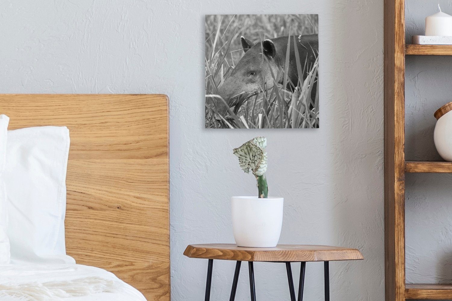 OneMillionCanvasses® Leinwandbild Mittelamerikanischer (1 Bilder Wohnzimmer Costa St), Nationalpark Schlafzimmer Tapir Rica in, Leinwand für von im