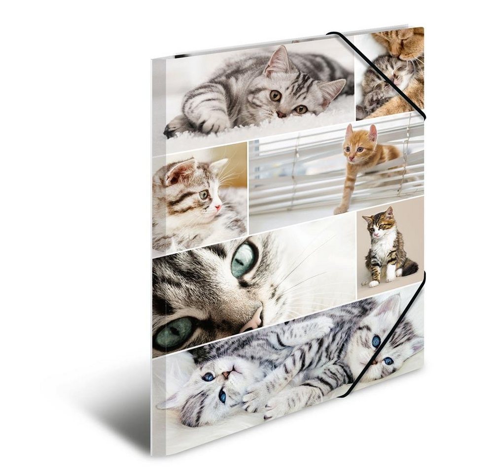 Thumbnail - HERMA Organisationsmappe Sammelmappe DIN A3 Karton Tiere Katzen
