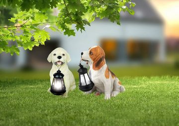 bmf-versand LED Solarleuchte Solarleuchten Garten 2er Set Gartenfiguren Tiere Hund Solarlampe, mit Schalter, Solar, LED fest integriert, Warmweiß, Dekoleuchte, Dekolampe, Gartenbeleuchtung, Außenbeleuchtung