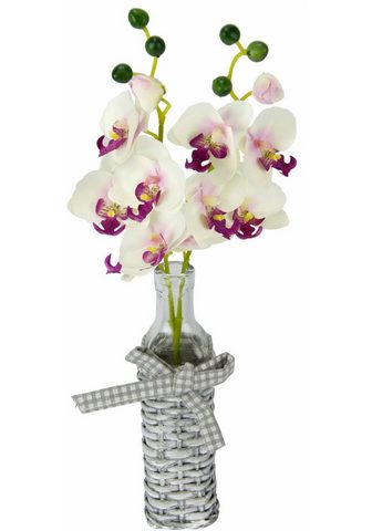  Искусственное растение »Orchidee...