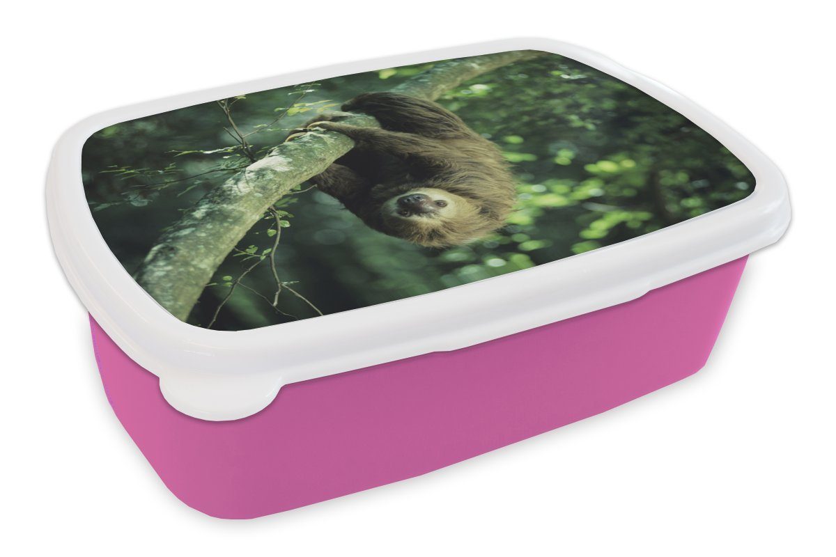 MuchoWow Lunchbox Ein Faultier hängt kopfüber in einer grünen Umgebung, Kunststoff, (2-tlg), Brotbox für Erwachsene, Brotdose Kinder, Snackbox, Mädchen, Kunststoff rosa