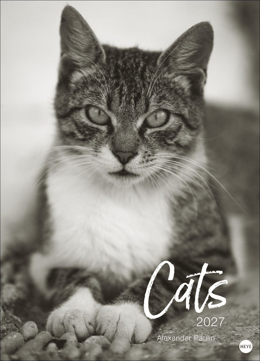 Wandkalender Cats Edition Kalender 2027 Elegante Samtpfoten in schwarz-weiß in eine