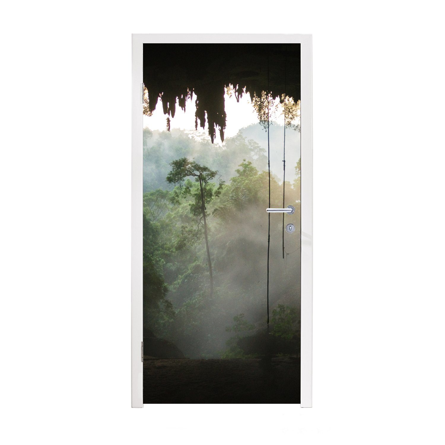 St), Natürliche Fototapete (1 Regenwald MuchoWow Türaufkleber, 75x205 Malaysia, von Tür, Türtapete bedruckt, Höhle Matt, für cm im