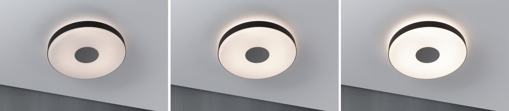 Paulmann integriert, Warmweiß, fest Pane, Grau, Deckenleuchte Schwarz, dimmbar LED Puric