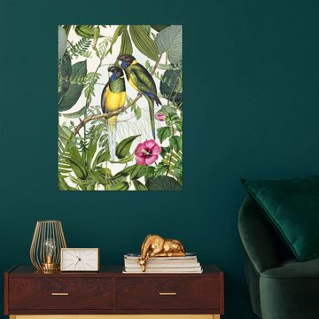 Posterlounge Wandfolie Andrea Haase, Tropische Vögel III, Vintage Illustration