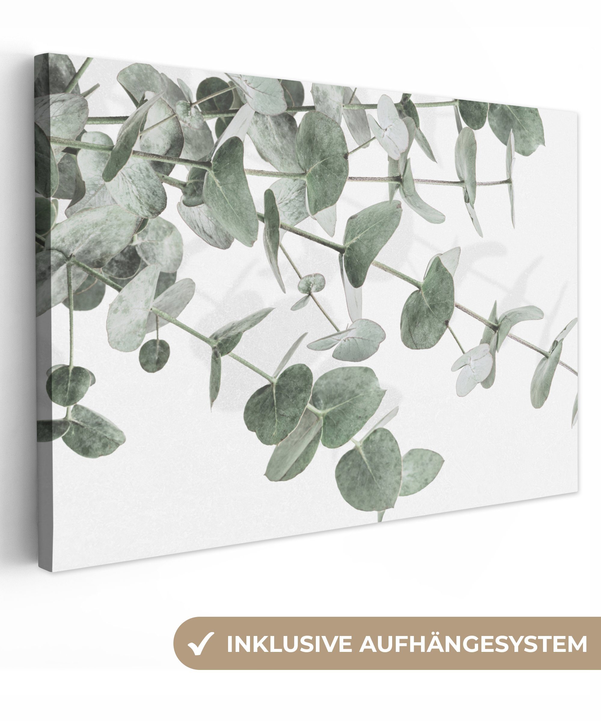 OneMillionCanvasses® Leinwandbild Eukalyptus - Blätter - Natur - Grün, (1 St), Wandbild für alle Wohnbereiche, Gemälde, XXL, großes, 120x80 cm