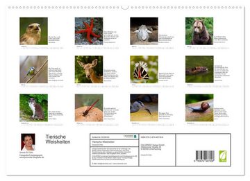CALVENDO Wandkalender Tierische Weisheiten (Premium, hochwertiger DIN A2 Wandkalender 2023, Kunstdruck in Hochglanz)