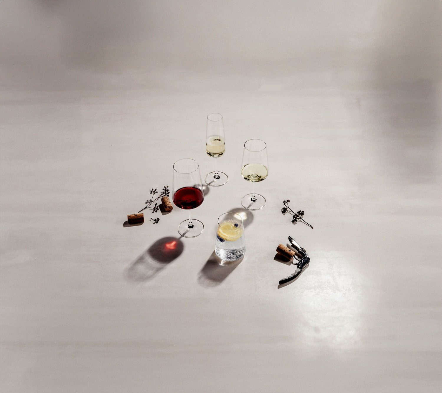 SCHOTT-ZWIESEL Gläser-Set MioVino Wein- & Sektgläser 12er Set, 12-tlg., Glas