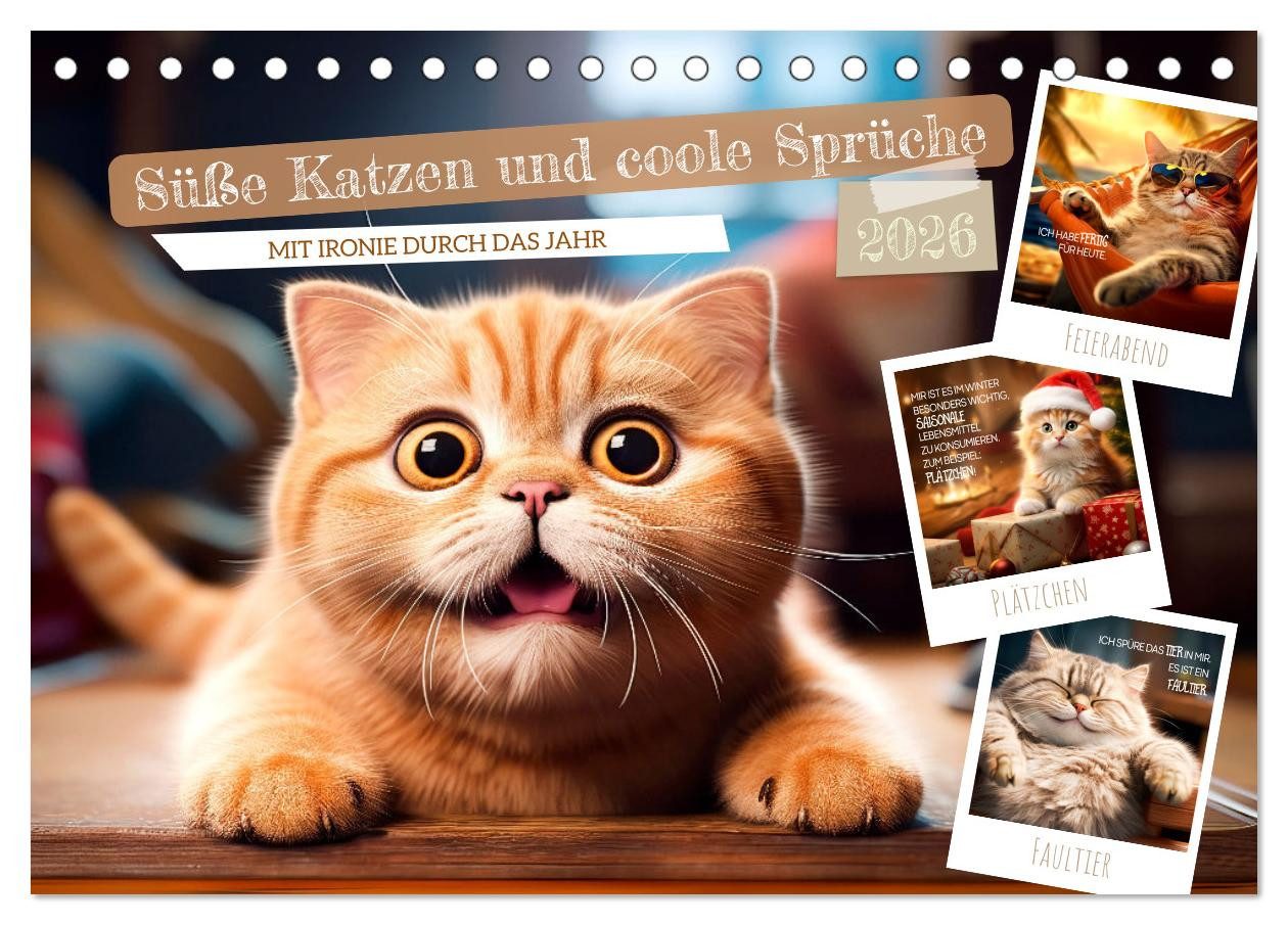 CALVENDO Wandkalender Süße Katzen und coole Sprüche (Tischkalender 2026 DIN A5 quer), CALVEN