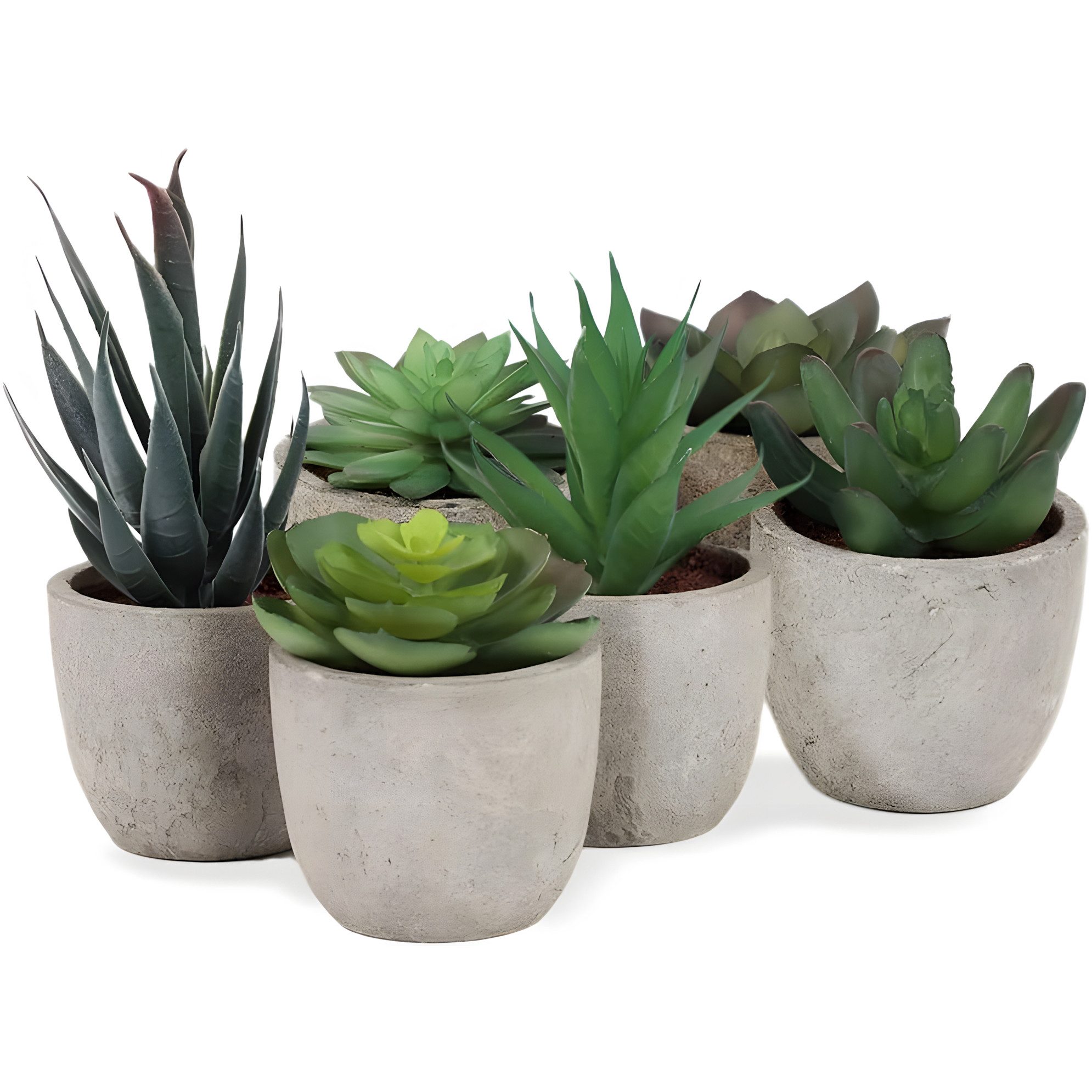 Kunstpflanze 6er Set Kunstpflanzen Sukkulenten in Steinoptik-Töpfen (7,5-14cm H), addhome, Höhe 5 cm, Naturgetreue Dekopflanzen 6-8cm Ø Ideal für Büro & Wohnzimmer