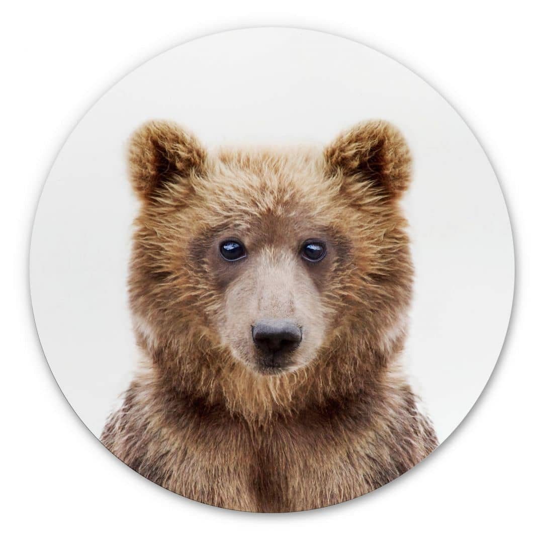 K&L Wall Art Gemälde Metallposter Rund Kinderzimmer Deko Baby Teddy Bär Waldtiere, Metalloptik Wandbild Ø 30cm