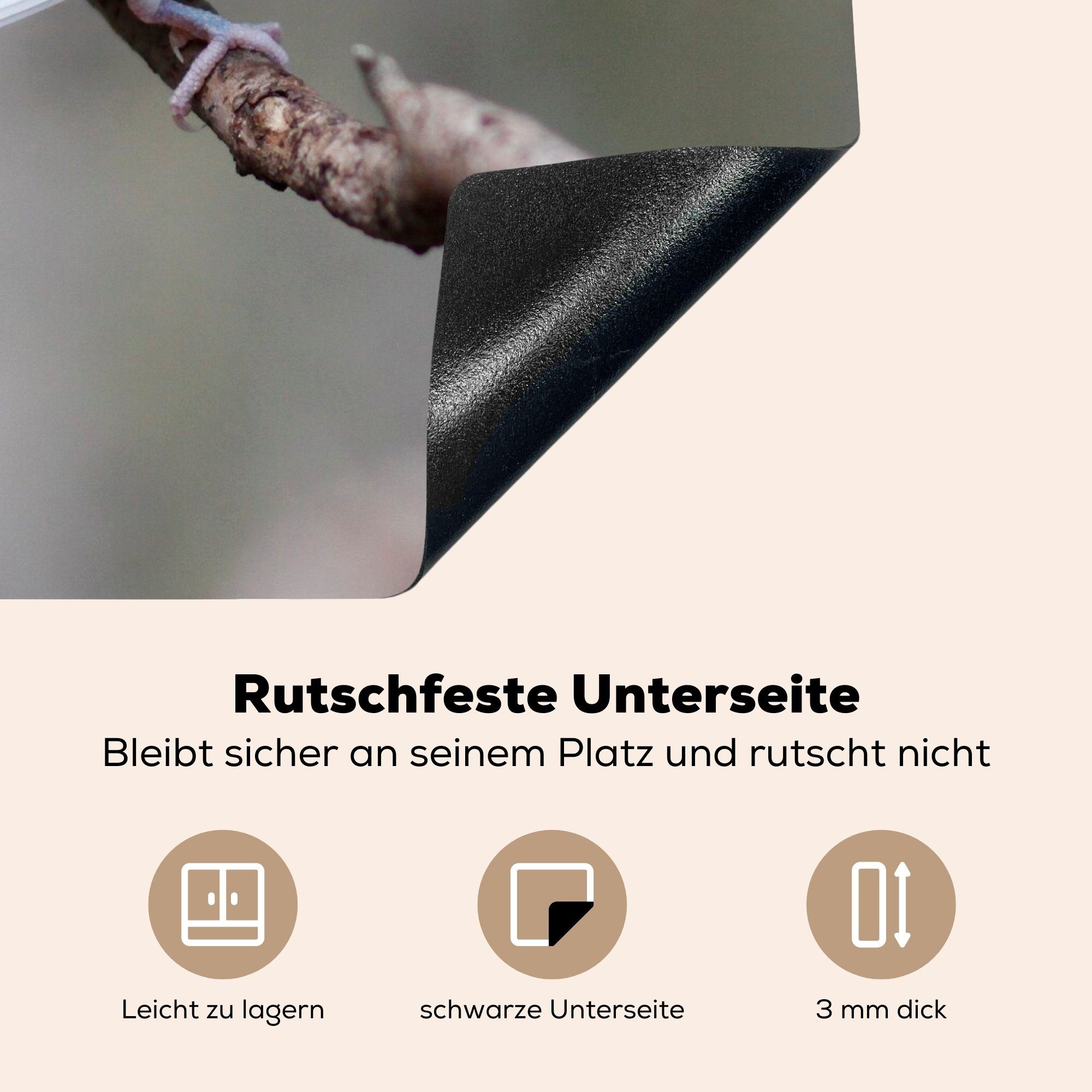 auf Induktionsmatte Vinyl, Ceranfeldabdeckung (1 cm, Herdblende-/Abdeckplatte 59x52 küche, tlg), einem die Sittich Ast, Weißer MuchoWow für