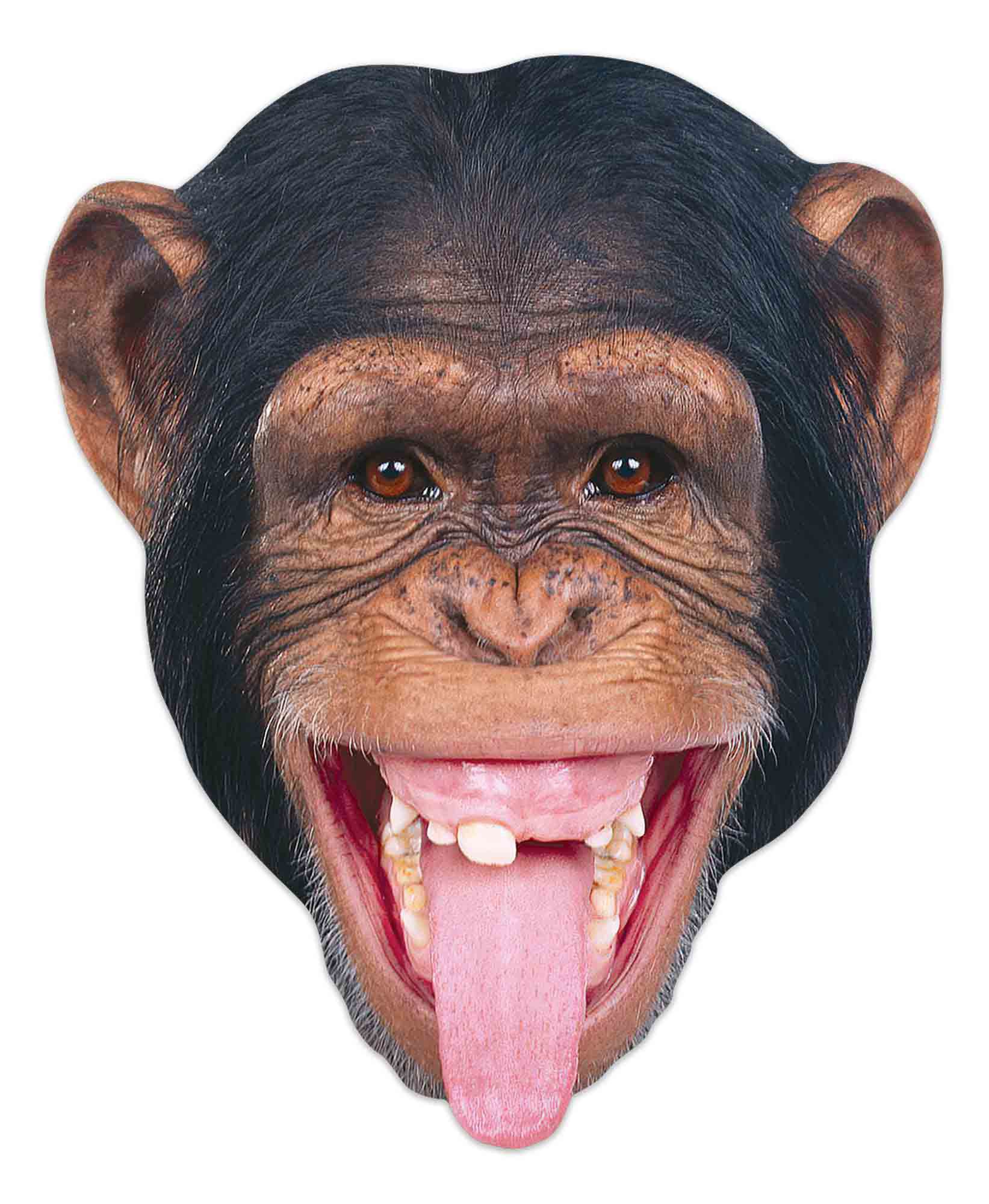 Verkleidungsmaske Tier Maske - Masken - Chimpanzee