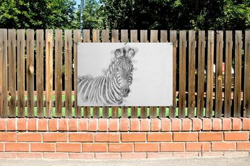 Wallario Sichtschutzzaunmatten Zebra in schwarz weiß - Bleistift Zeichnung