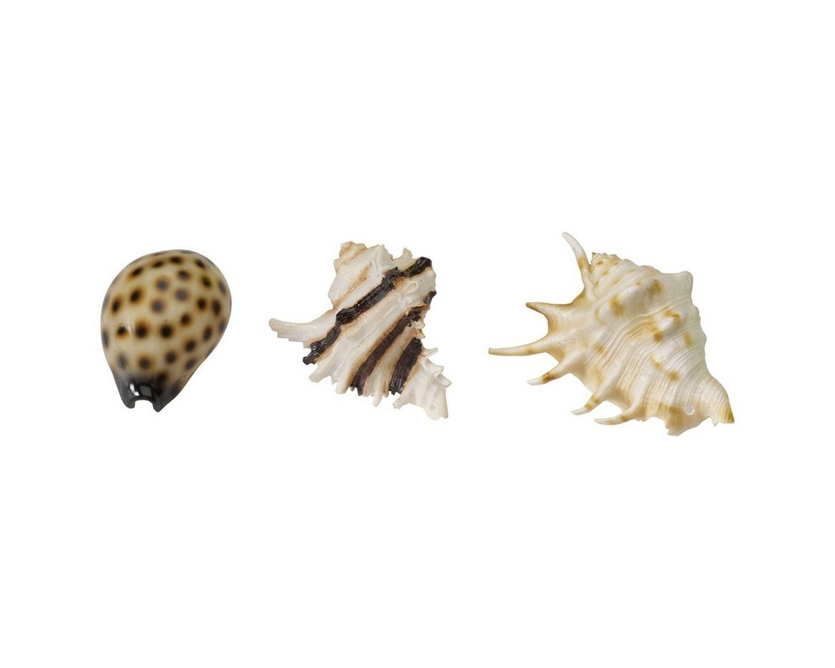 Europet-Bernina Aquariendeko Aquarium Dekoration Sea Shell Mix