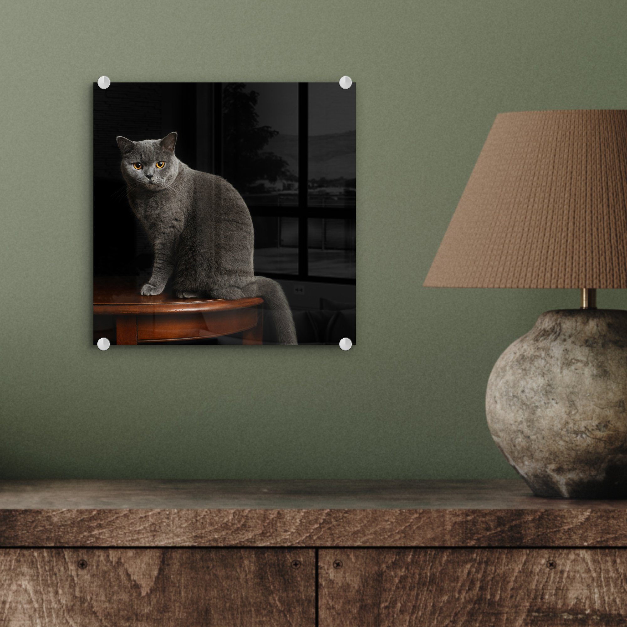 - auf Wanddekoration Acrylglasbild MuchoWow Foto Bilder (1 Glasbilder St), Glas einer Porträt - auf Britisch-Kurzhaar-Katze, Glas - Wandbild