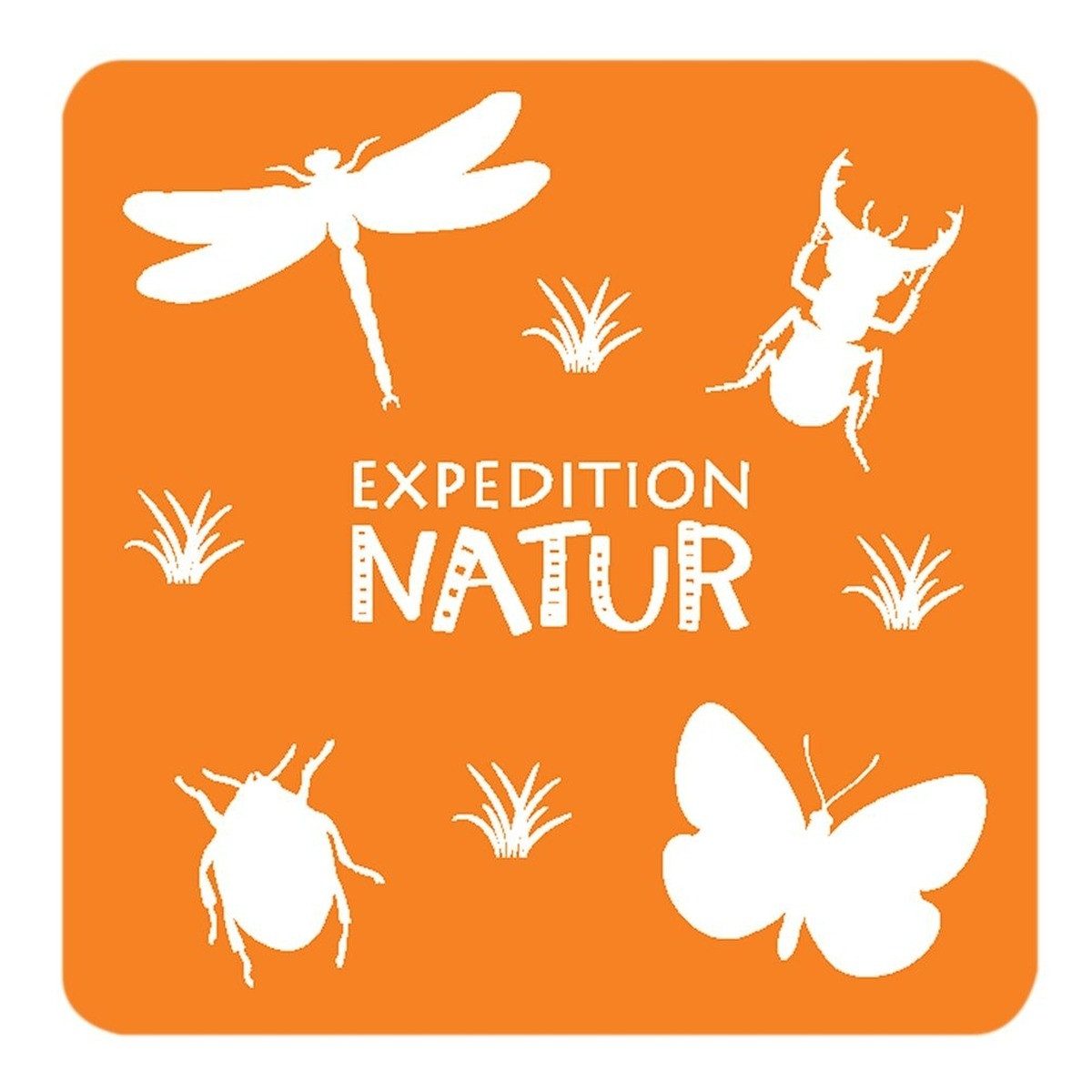 Moses. Verlag Spiel Expedition Natur - Das große Vogel Memo 60 Karten mit Wissensheft