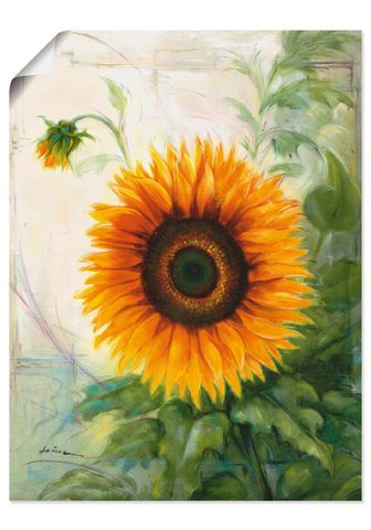 Artland Paveikslas »Sonnenblume« Blumen (1 vie...