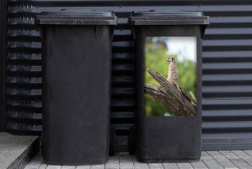 MuchoWow Wandsticker Erdmännchen - Ast - Baum (1 St), Mülleimer-aufkleber, Mülltonne, Sticker, Container, Abfalbehälter