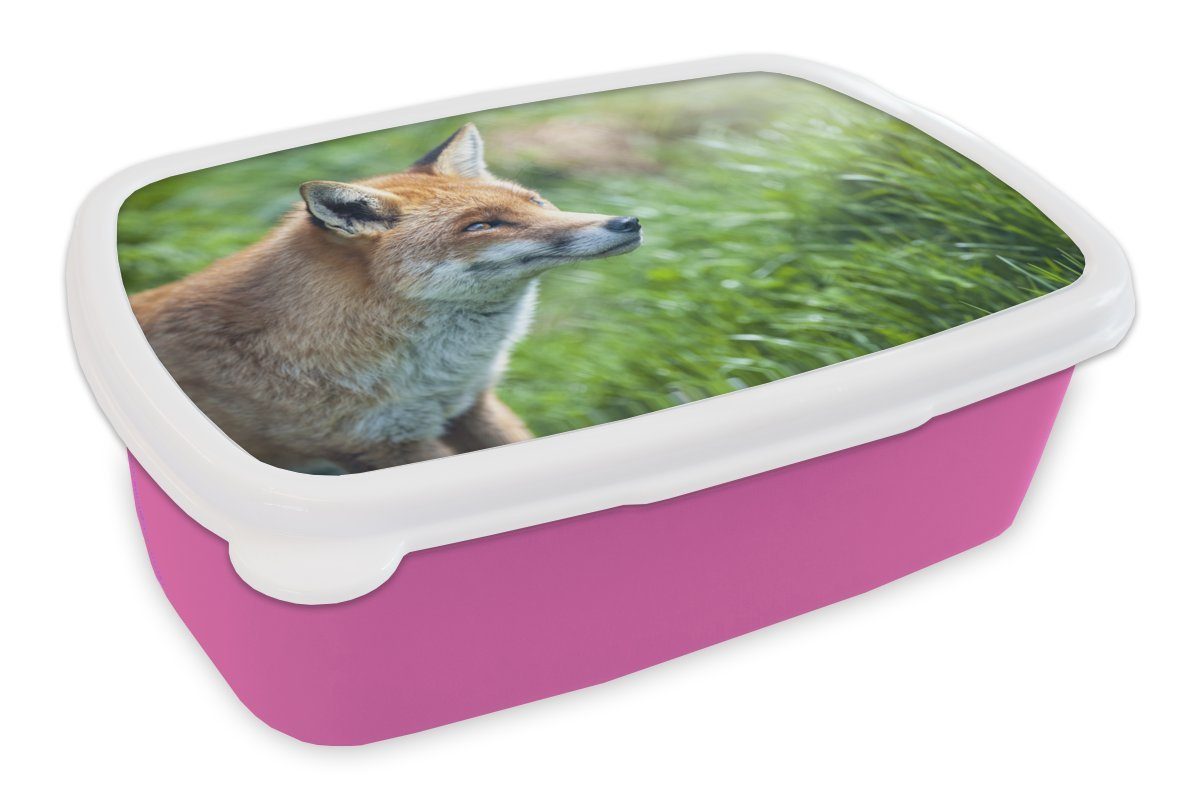 MuchoWow Lunchbox Tiere - Gras - Fuchs, Kunststoff, (2-tlg), Brotbox für Erwachsene, Brotdose Kinder, Snackbox, Mädchen, Kunststoff rosa