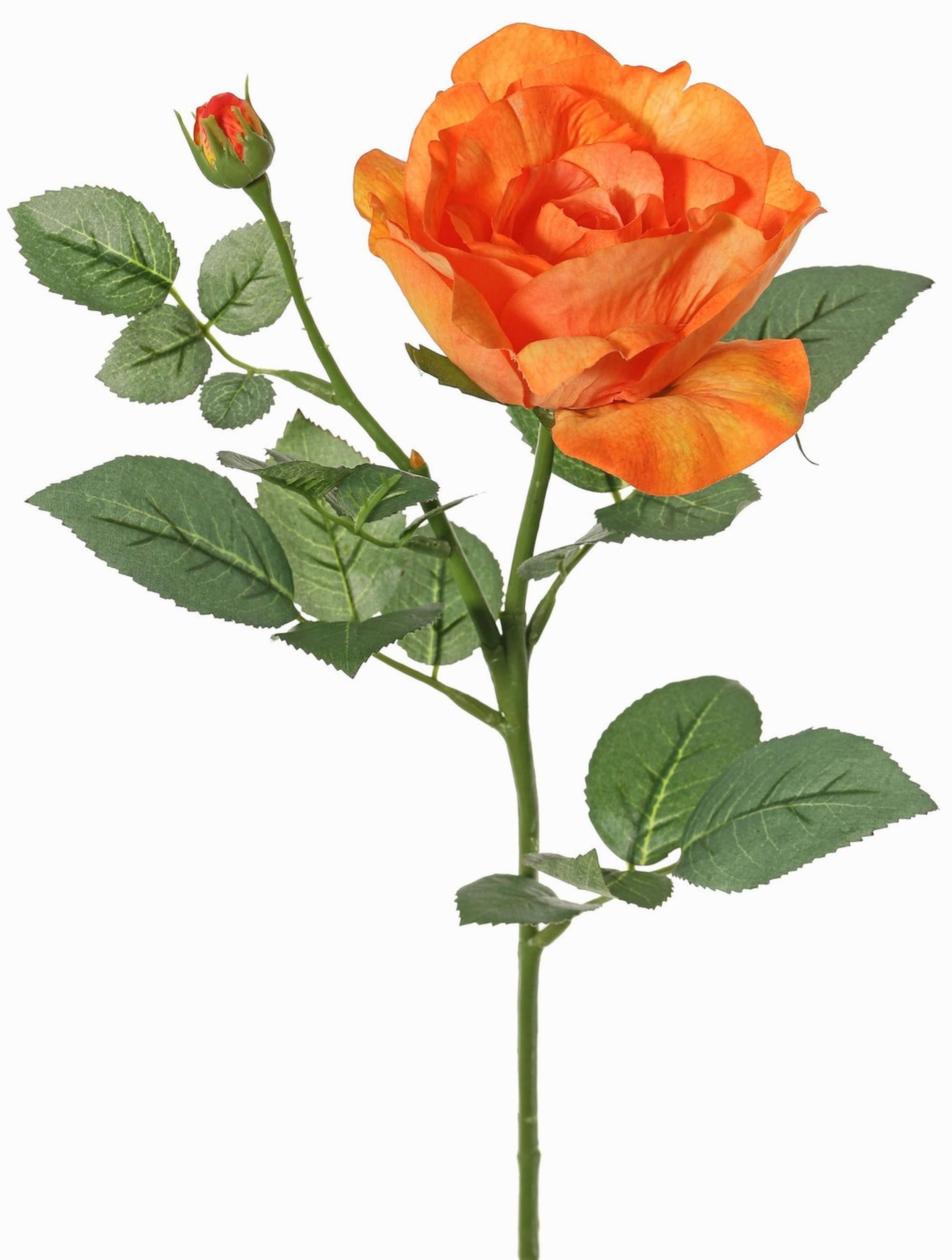 Kunstblume Künstliche Rose WAIOLA, orange, 65cm, Ø11cm Rose, artplants