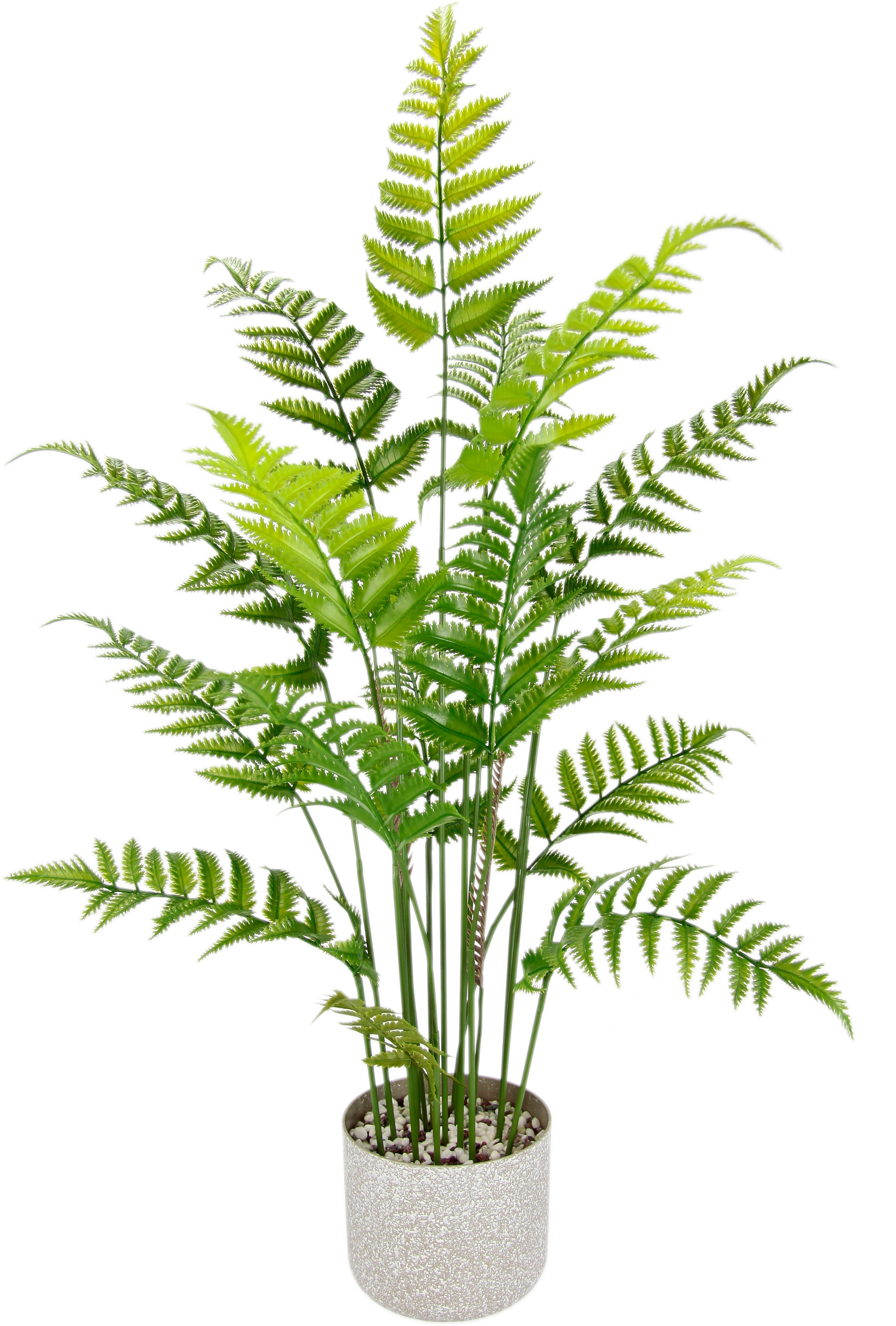 Kunstpflanze Künstlicher Waldfarn im Topf Farn Kunstfarn Farnbusch Waldpfla günstig online kaufen