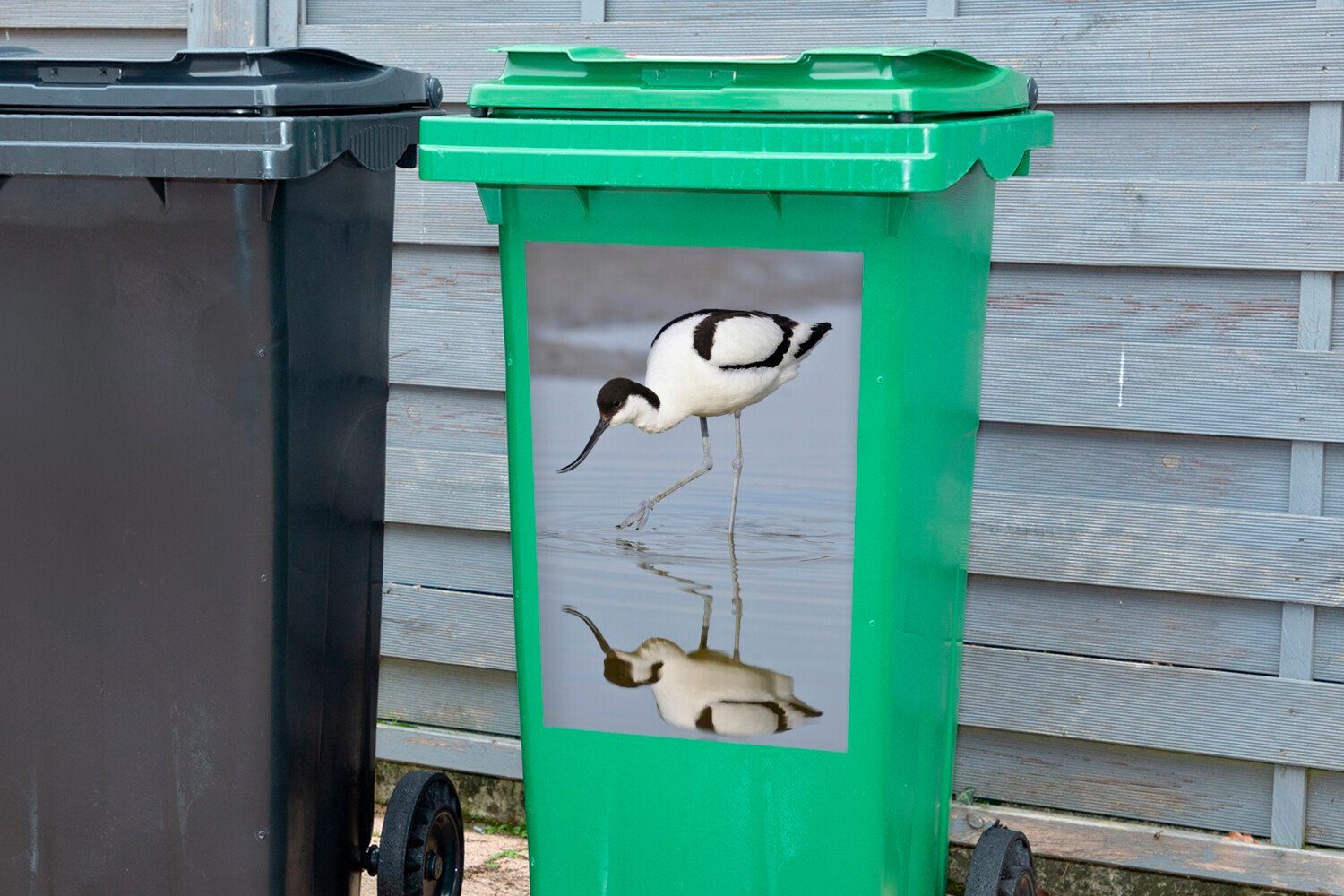 St), Mülltonne, im Mülleimer-aufkleber, Sticker, Ein Nahrung Wandsticker sucht MuchoWow Container, Säbelschnäbler nach Wasser (1 Abfalbehälter