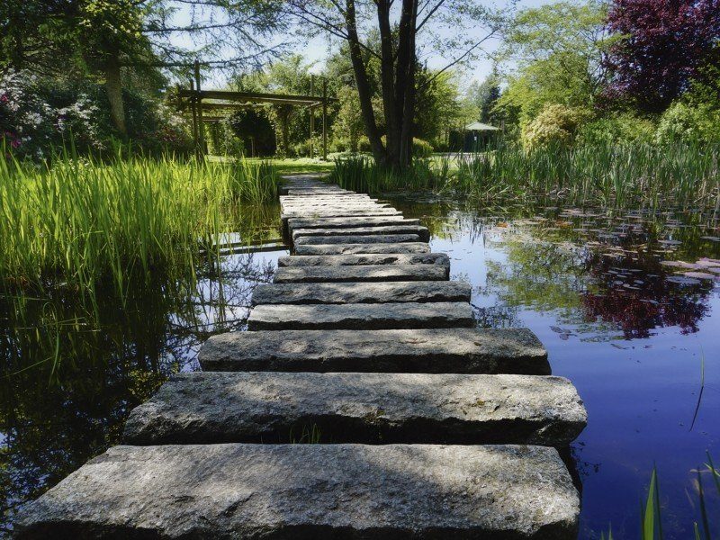 Artland Poster, Leinwandbild »Weg Teich Landschaften Gewässer Natur