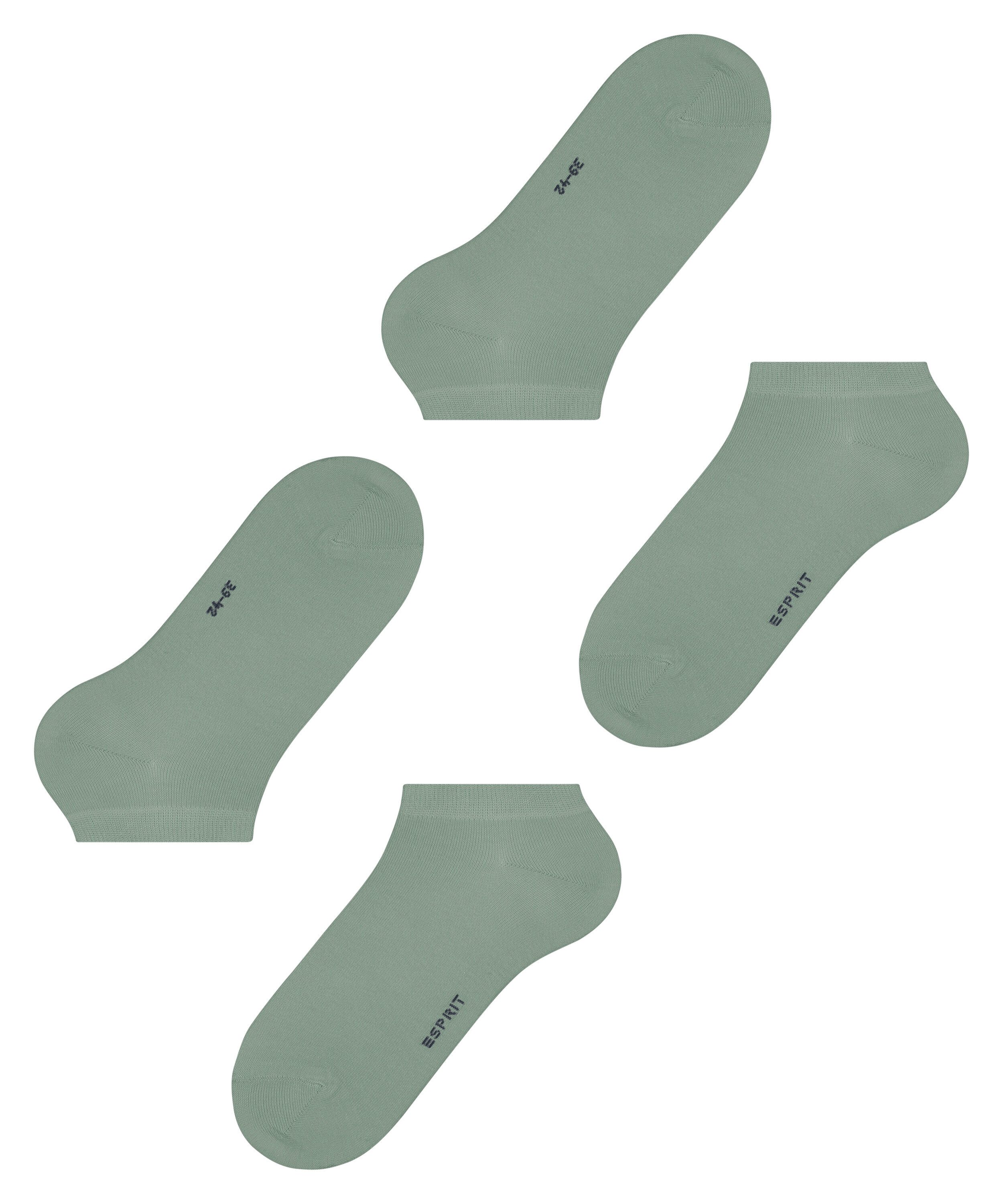 Esprit Sneakersocken Basic Uni 2-Pack (2-Paar) mit hohem Baumwollanteil