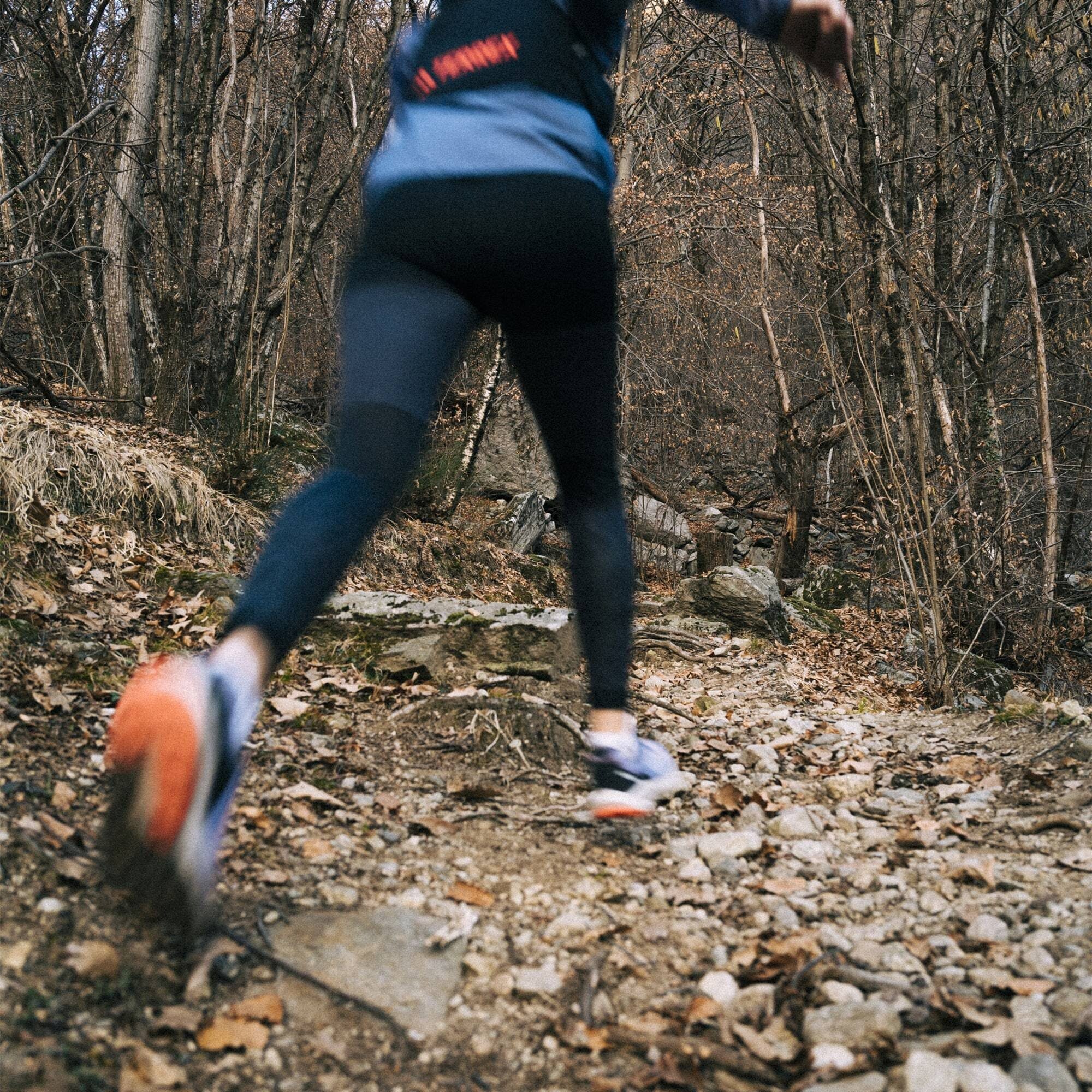 adidas TERREX TERREX TRAILRUNNING-SCHUH Blue / TRAIL Violet Coral Fusion GORE-TEX Silver Dawn Trailrunningschuh / RIDER