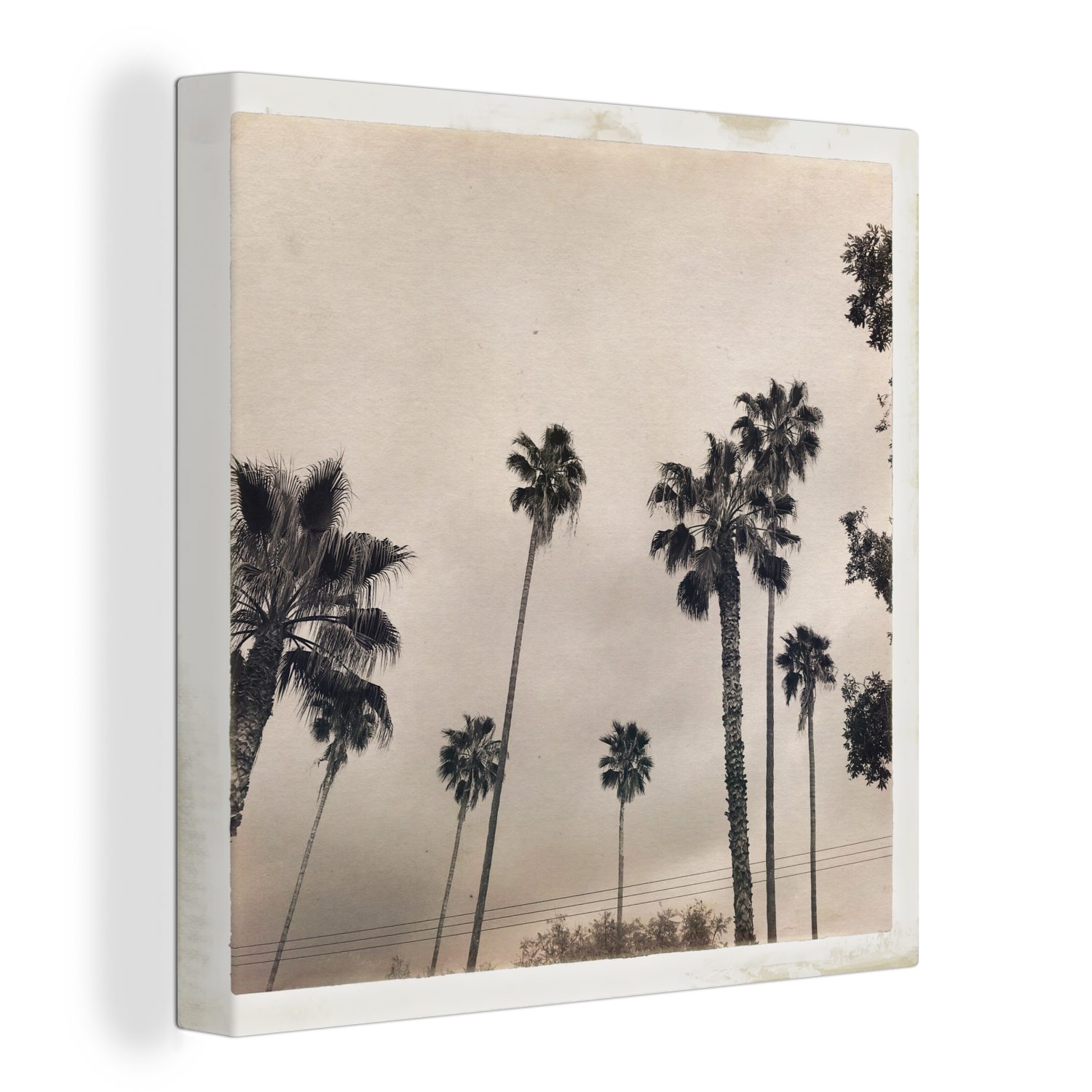 OneMillionCanvasses® Leinwandbild Vintage - Palme - Sepia, (1 St), Leinwand Bilder für Wohnzimmer Schlafzimmer | Leinwandbilder