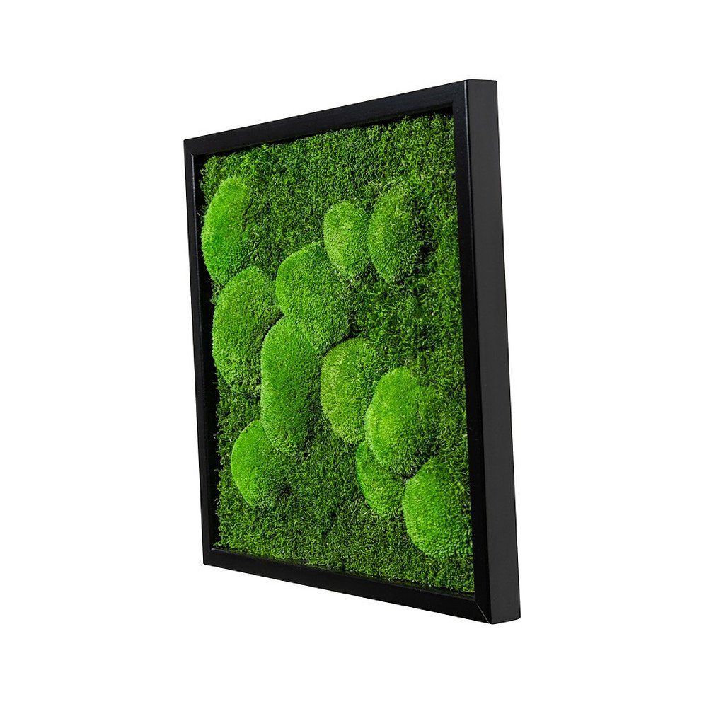 Moos-Design Bild Moosbild Fifty Fifty Design günstig online kaufen