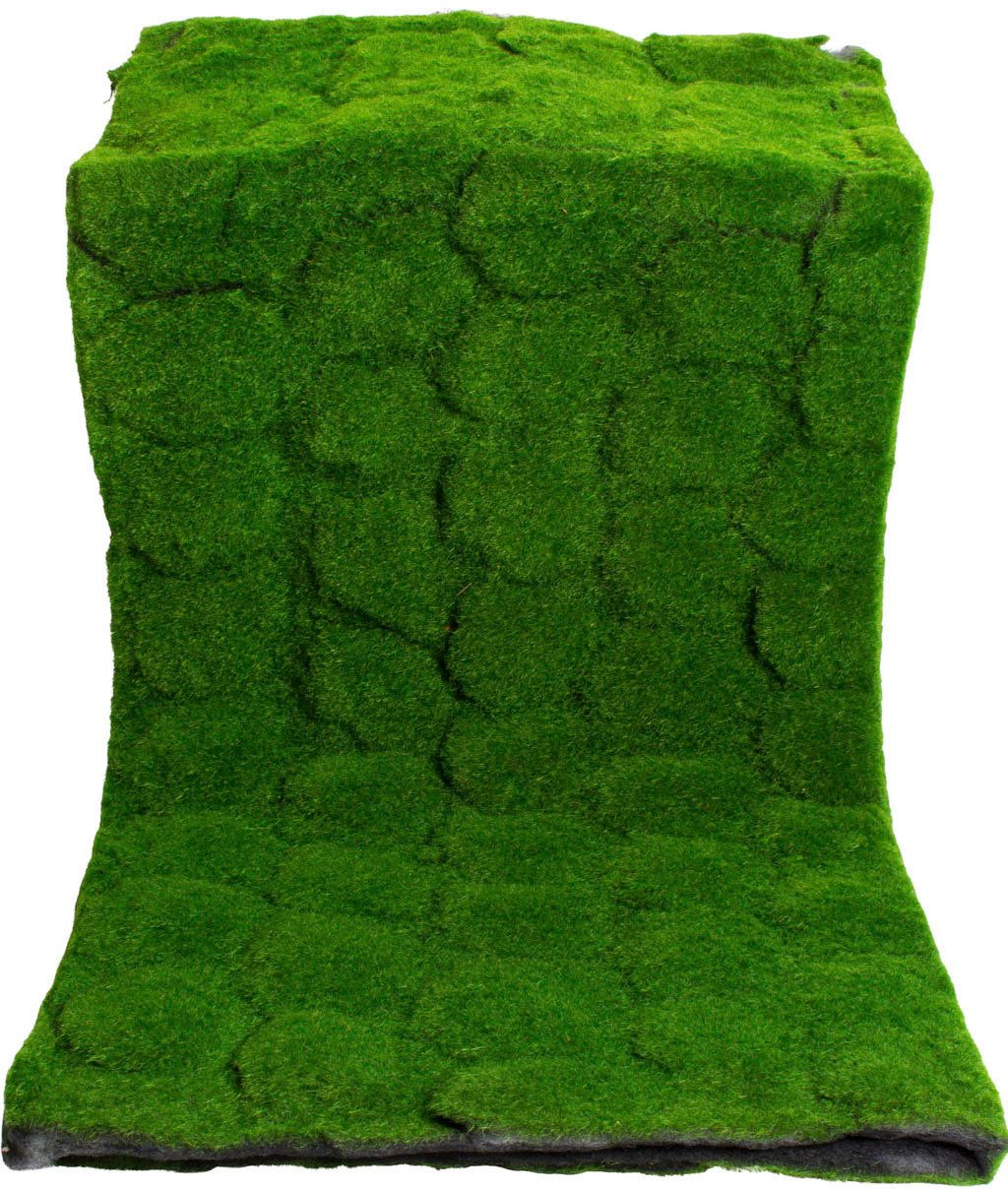 Künstliche Zimmerpflanze Moosmatte Moos, Botanic-Haus, Höhe günstig online kaufen