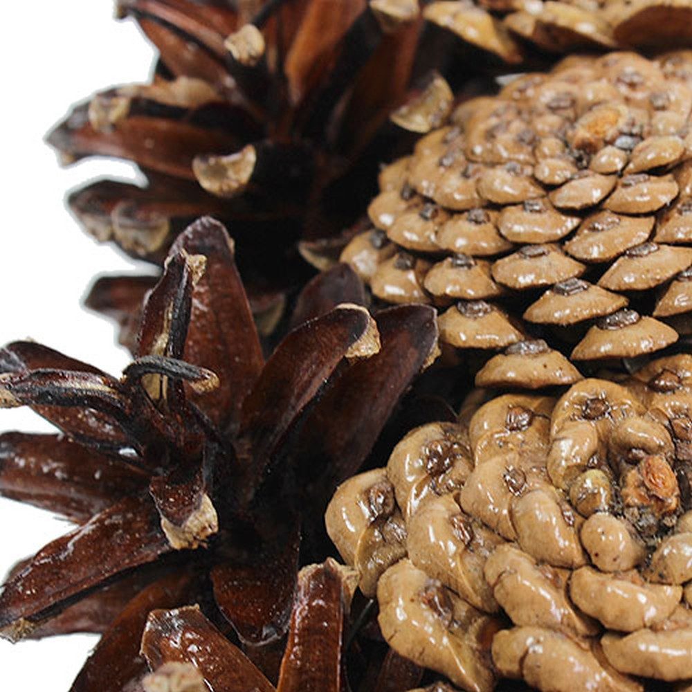 Trockenblume Zapfenherz lackiert Trauerdeko Tannenzapfen Ø25cm, günstig online kaufen