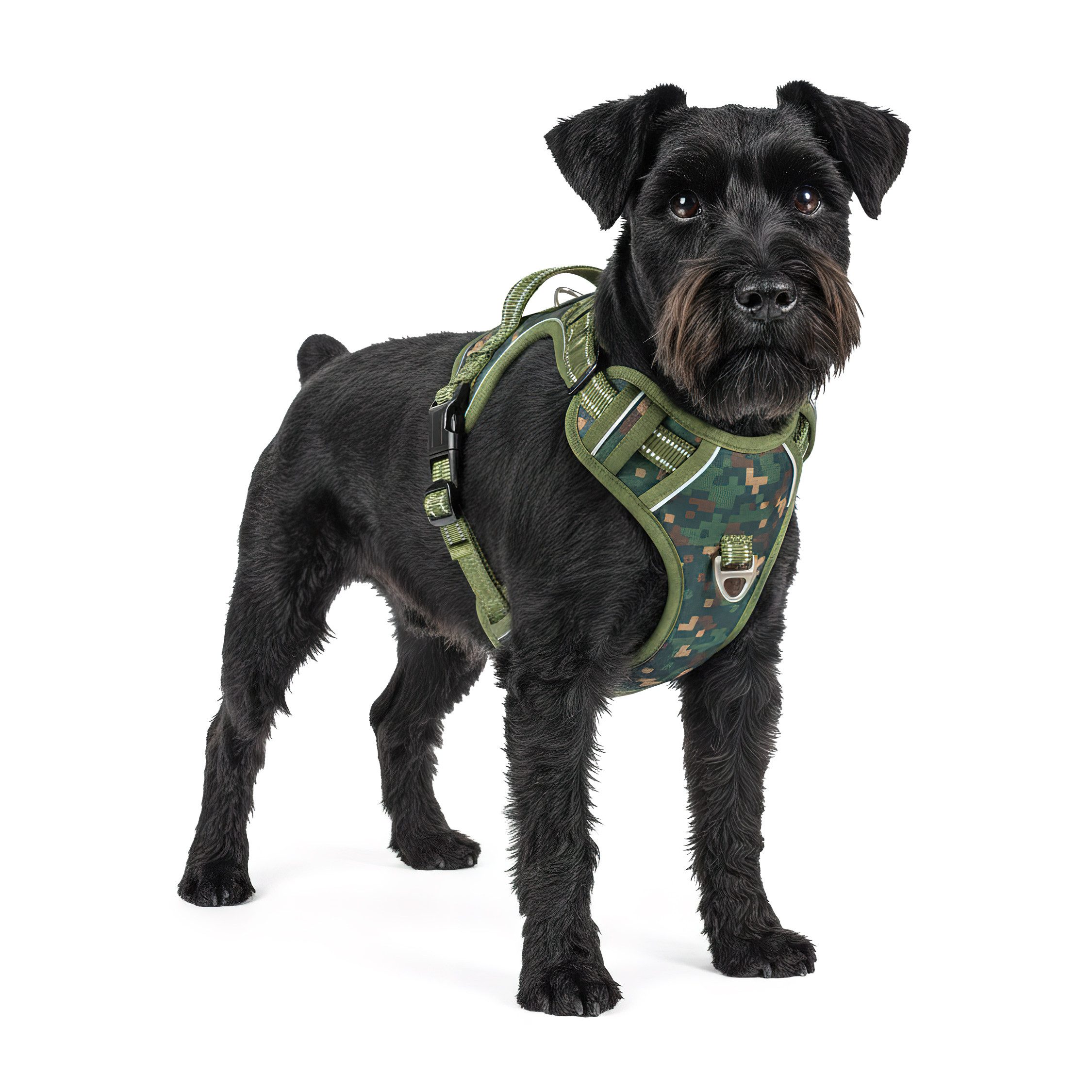 Reichstadt Hunde-Geschirr RS Pets Norwegergeschirr 25RSP083, Polyester, atmungsaktives Netzgewebe und robuster Oxford-Stoff