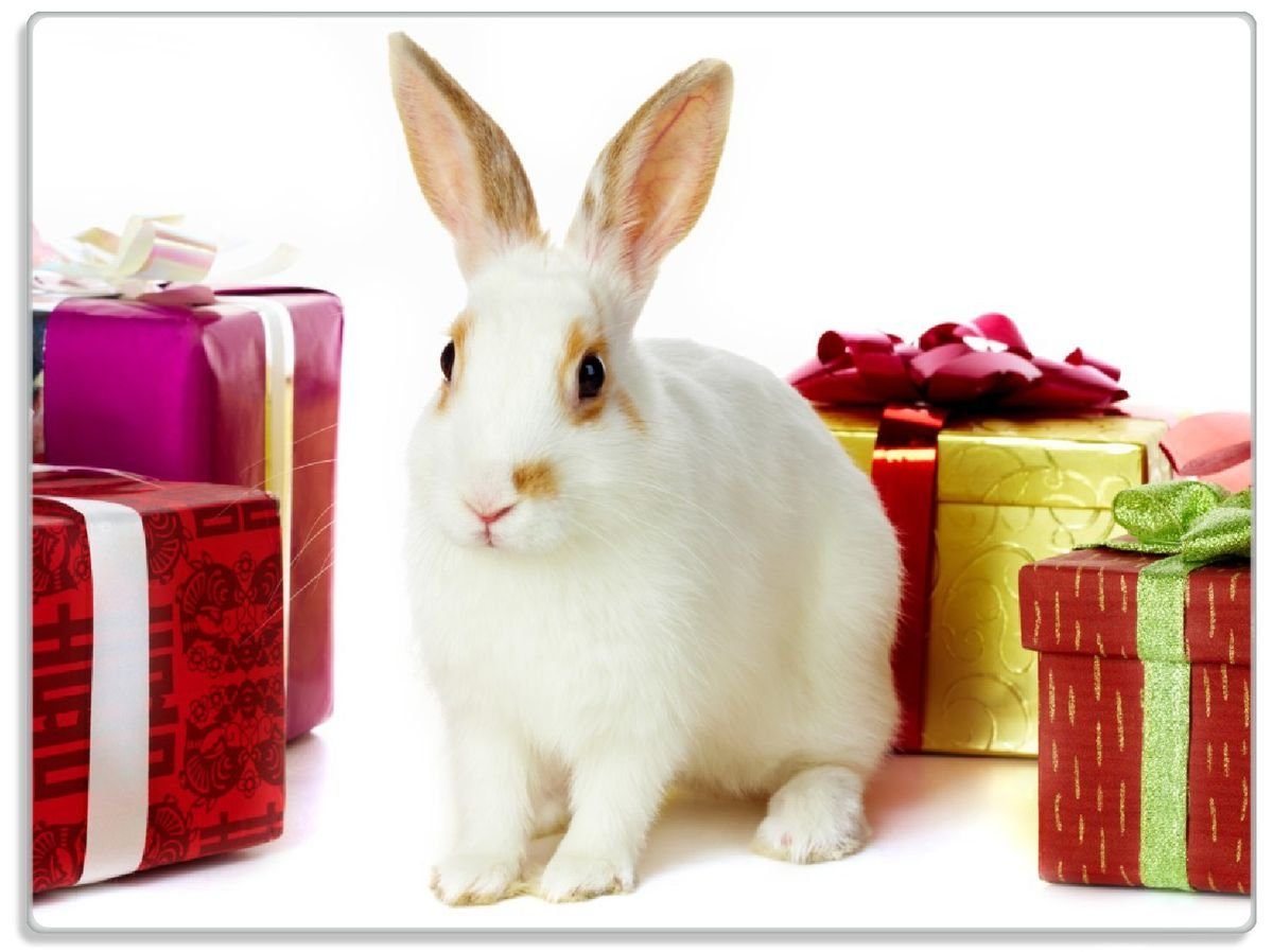 Wallario Schneidebrett Süßes Kaninchen mit bunten Geschenken, ESG-Sicherheitsglas, (inkl. rutschfester Gummifüße 4mm, 1-St), 30x40cm