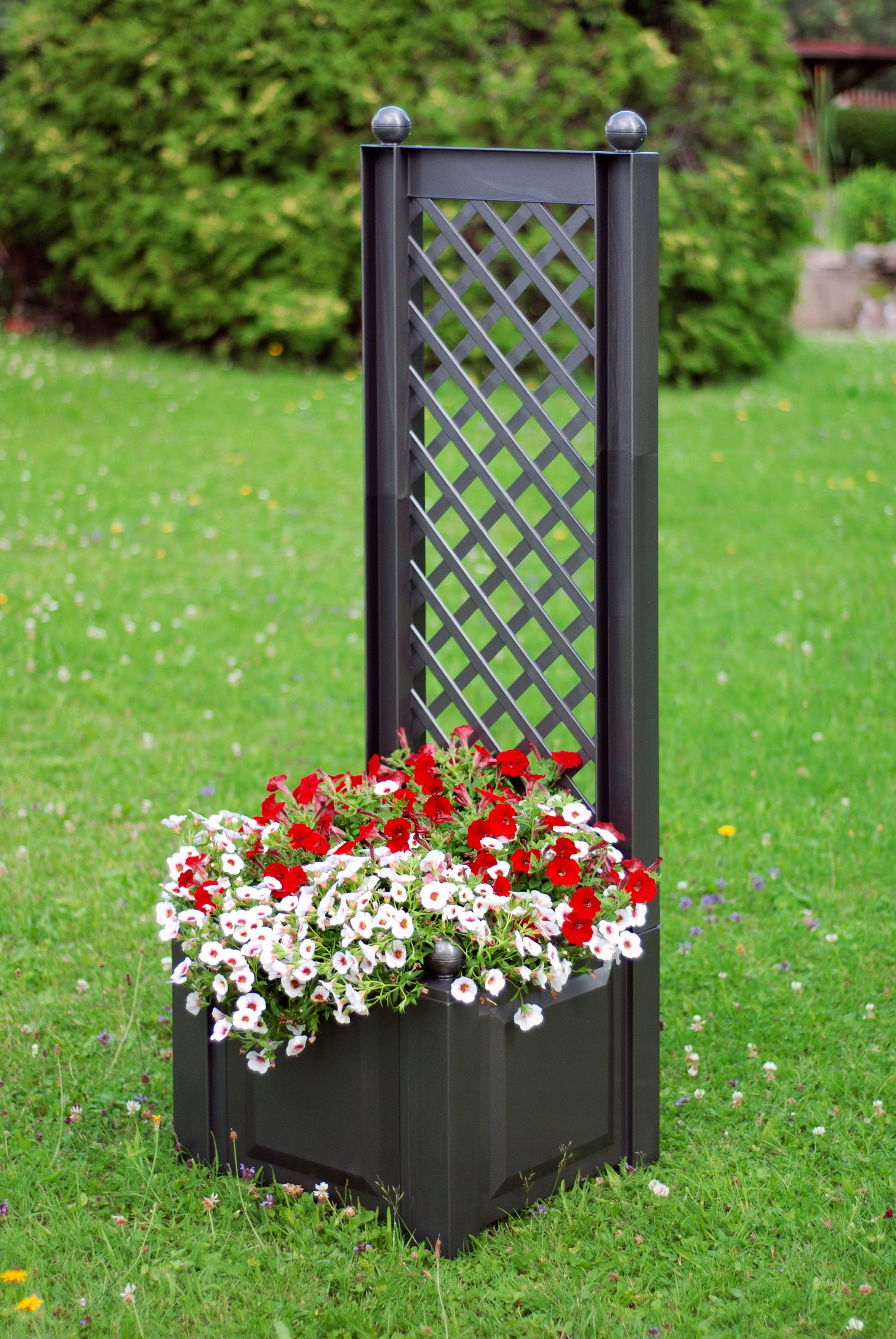 Spalier »mit Pflanzkasten 43cm, anthrazit« kaufen | OTTO