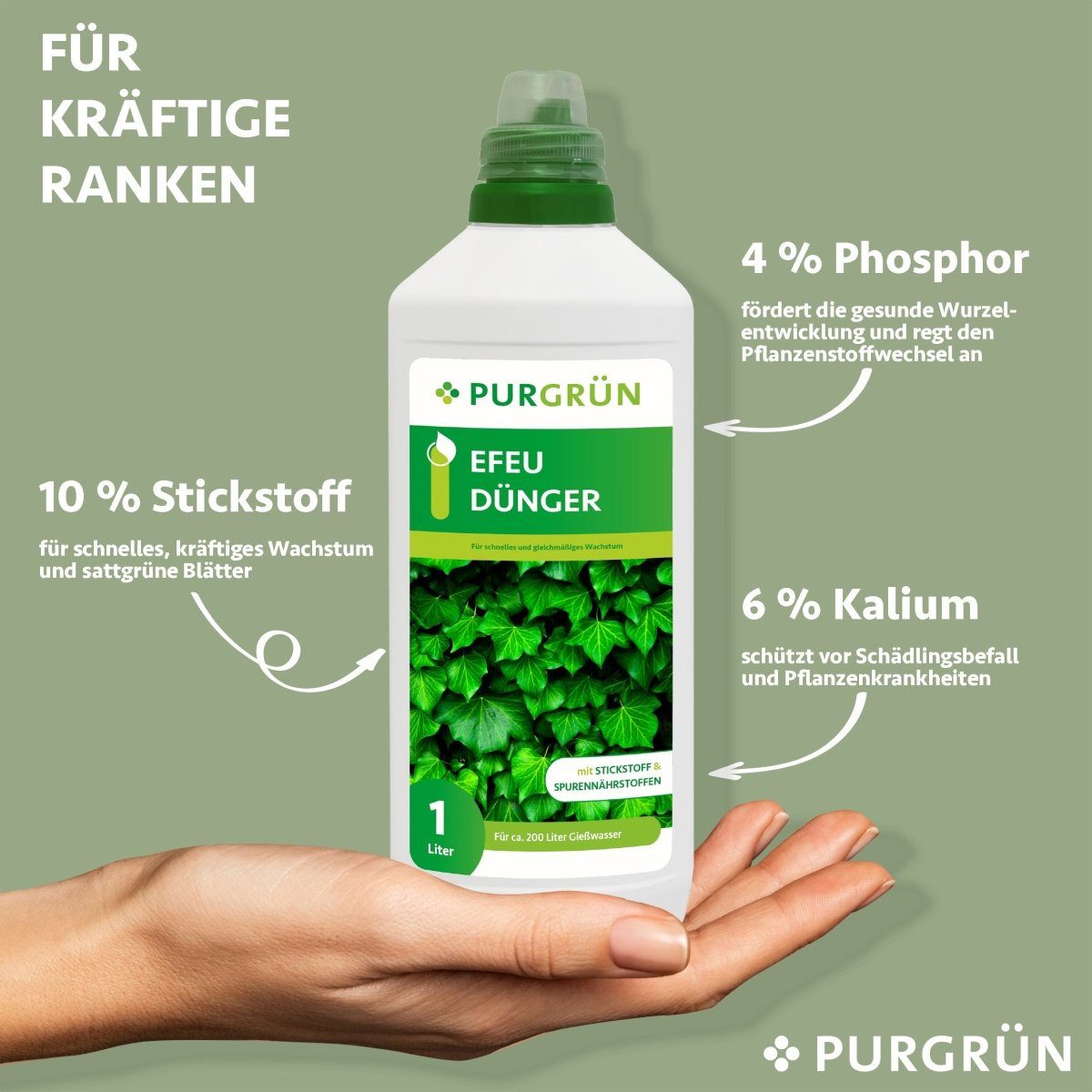 Purgrün Gartendünger Purgrün Efeu Dünger, NPK günstig online kaufen