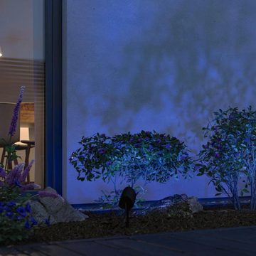 Paulmann LED Gartenstrahler Smarter Zigbee 3.0 Plug & Shine LED Erdspießstrahler Shira RGBW in, keine Angabe, Leuchtmittel enthalten: Ja, fest verbaut, LED, warmweiss, Außenstrahler