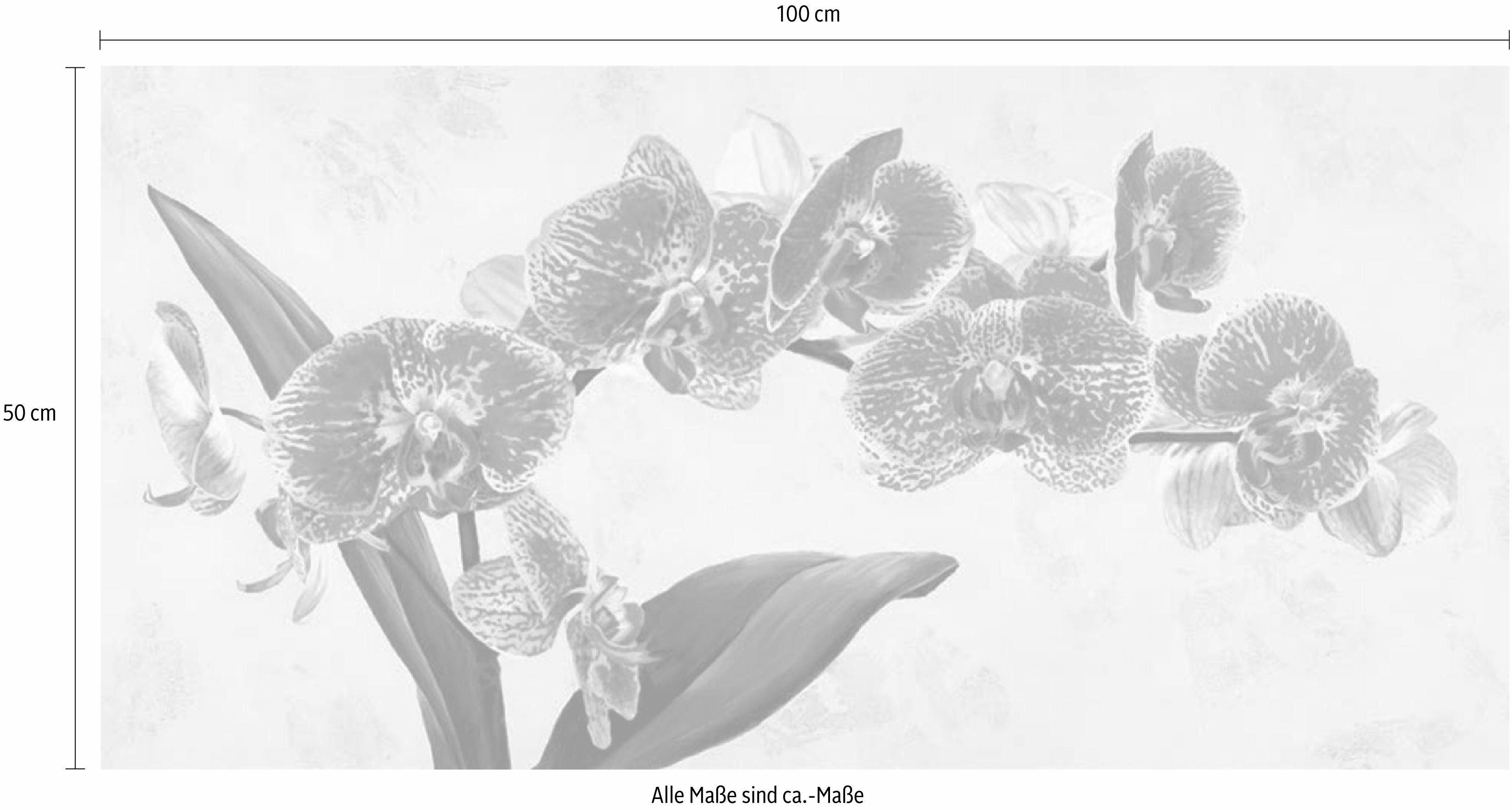 Home affaire Deco-Panel »LUCA VILLA / Purple Queens«, 100/50 cm-Otto
