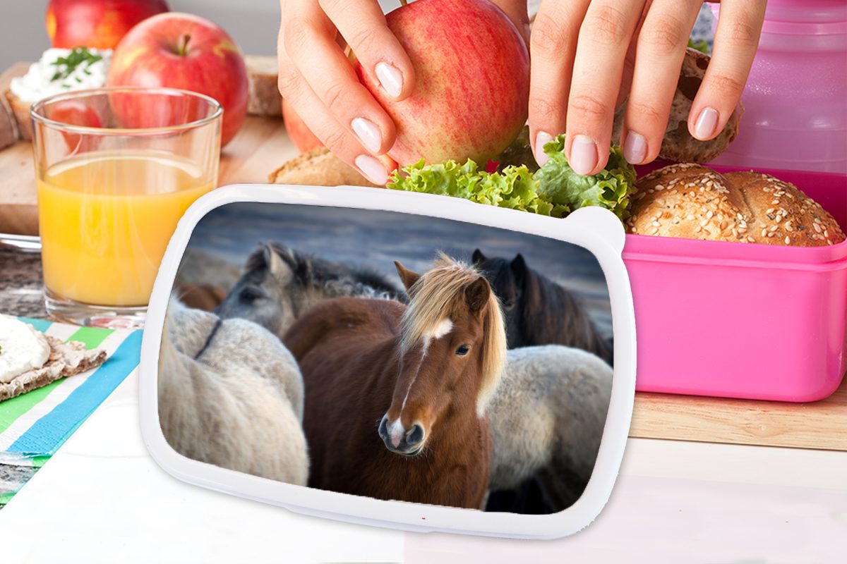 braunen Brotdose Kunststoff, eines Kunststoff für Isländers Nahaufnahme Erwachsene, Mädchen, zwischen Pferden, (2-tlg), Snackbox, weißen Kinder, Brotbox Lunchbox MuchoWow rosa