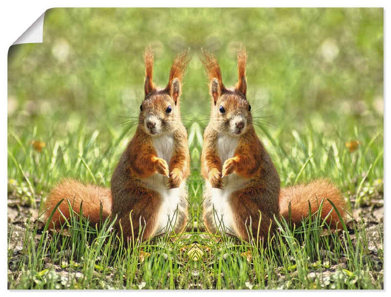 Artland Wandbild Rote Eichhörnchen Zwillinge, Wildtiere (1 St), als Leinwandbild, Poster in verschied. Größen