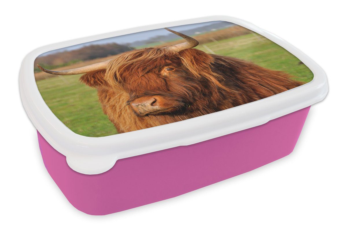 Kinder, für Gras Brotbox Mädchen, Baum, Kunststoff, (2-tlg), Schottischer Snackbox, Erwachsene, Kunststoff Highlander MuchoWow - - Brotdose Lunchbox rosa