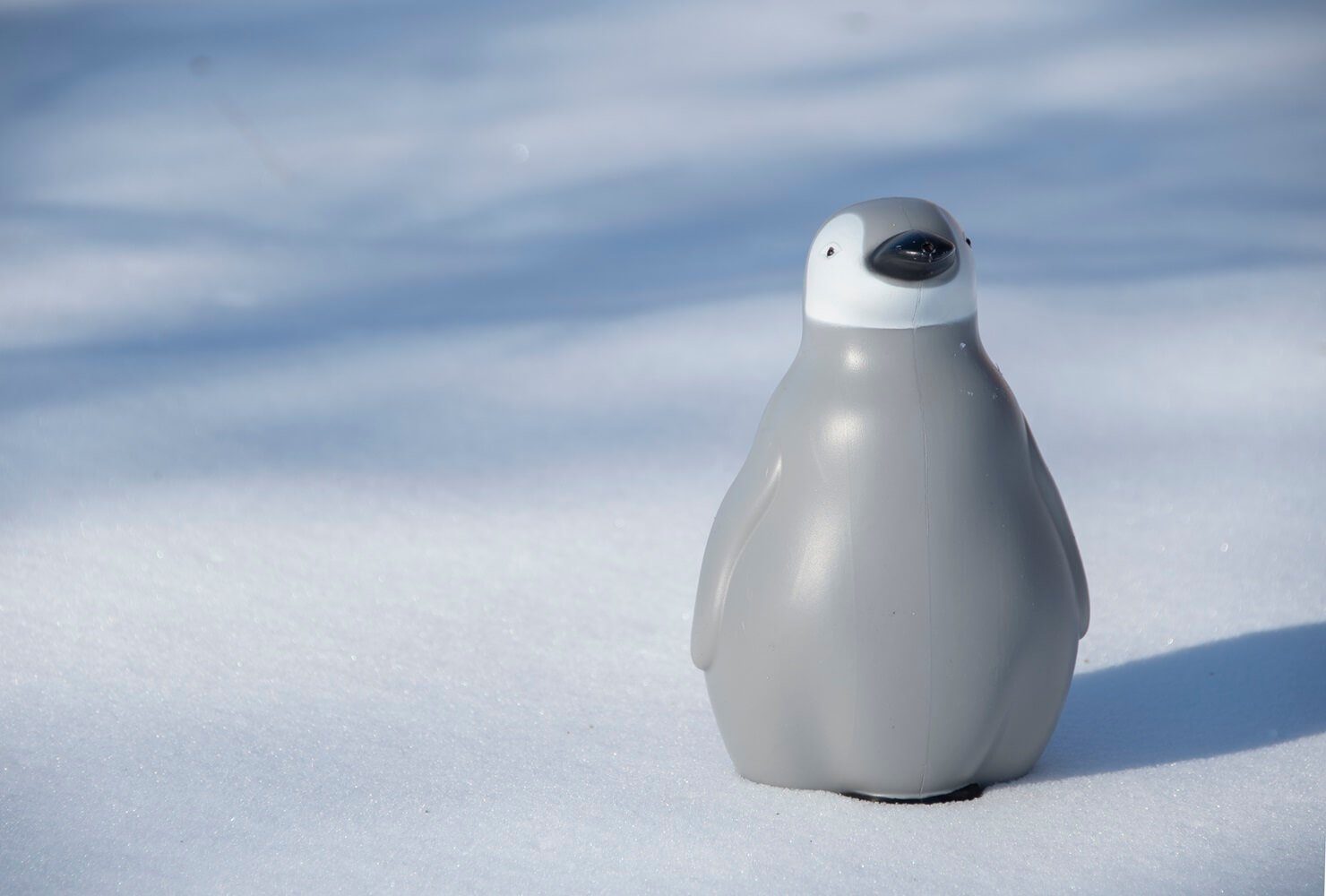 esschert design Gießkanne Pinguin Gießkanne grau Garten 1,4 L Kinder Blumen Kunststoff