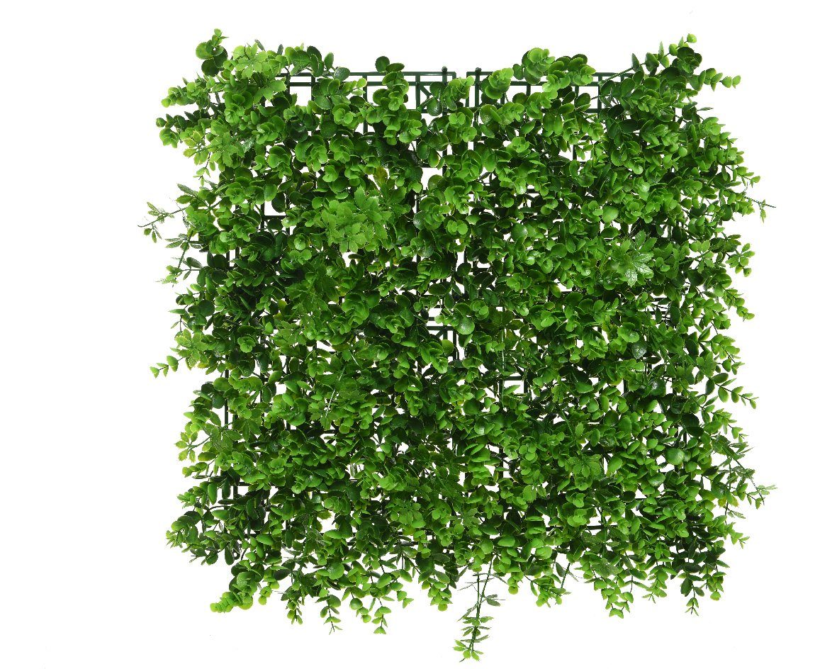 Pflanzen Kunstpflanze, season Künstliche decorations, 50x50xm Eukalyptus grün Wand Decoris